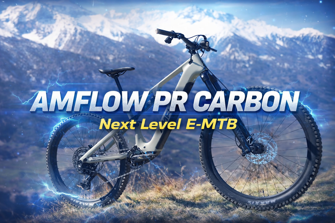 Amflow PR Carbon im Toffer Review