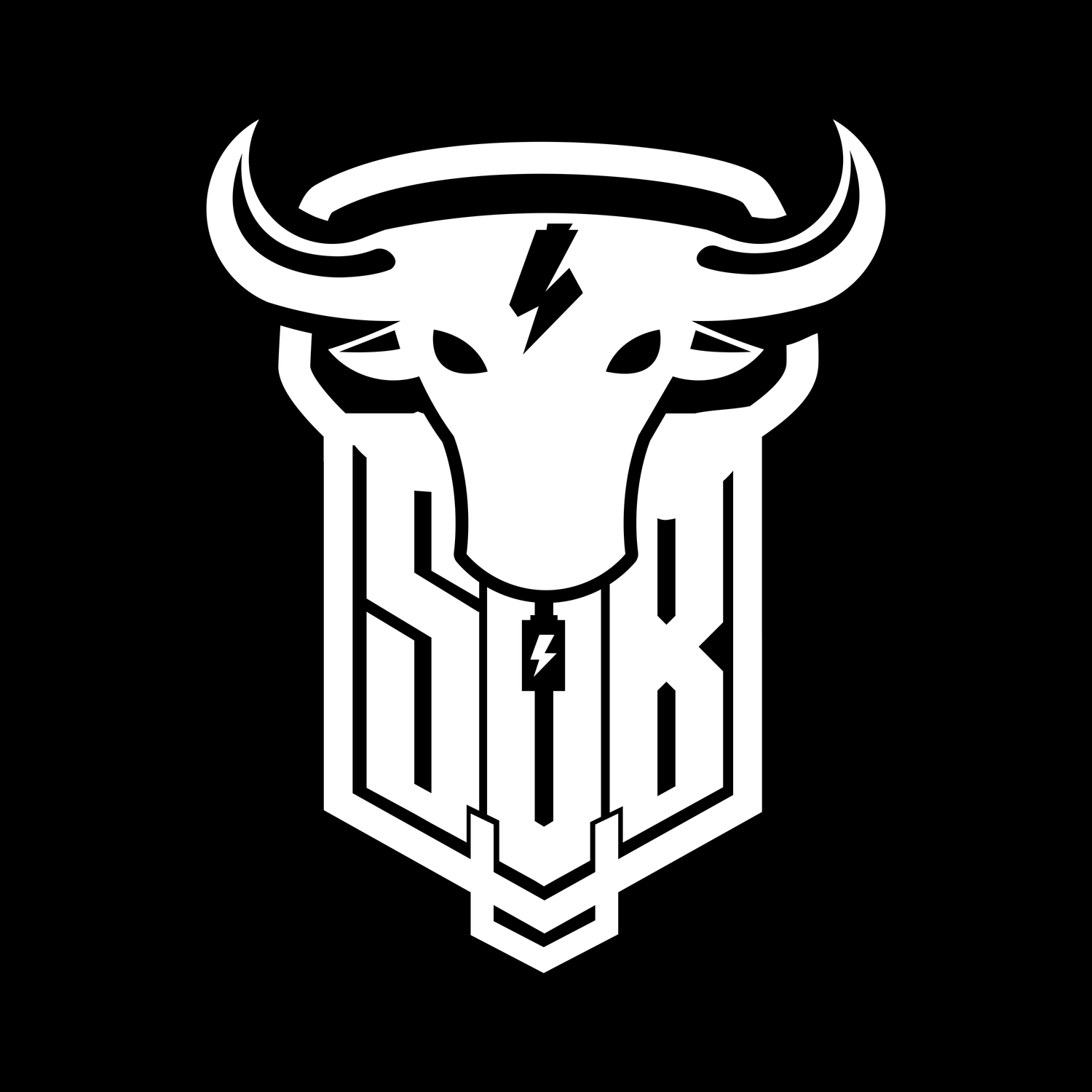 Bulle / Bulls
