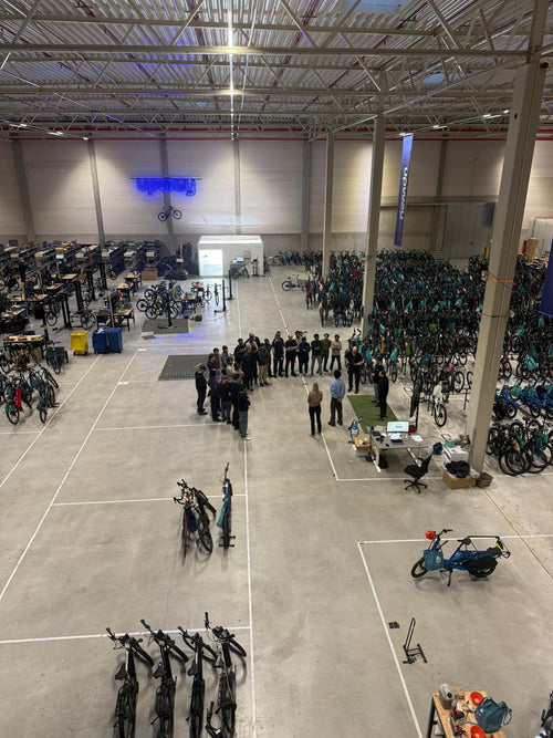 Werkstattleiter (m/w/d)