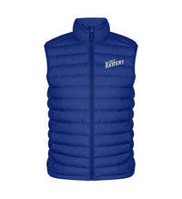 Shirtee Climber Steppweste ST/ST mit Stick Royal Blue / S Sons of Battery Oldschool Weste  - Organic Steppweste ST/ST mit Stick E-Bike-Community