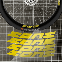 Sons of Battery - E-MTB Brand & Community Folien Gold Felgenaufkleber „SONS“ E-Bike-Community