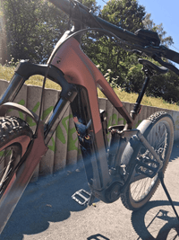 Sons of Battery® - E-MTB Brand & Community Folien & Sticker Eule – E-Bike Akku Sticker & Schutzfolie | Universal, Wunschgröße & CUBE Cut E-Bike-Community